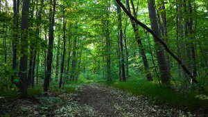 МОЩНЫЙ НАСТРОЙ 💥 НАПОЛНЕНИЕ СИЛОЙ ИСЦЕЛЕНИЯ И ЗДОРОВЬЯ