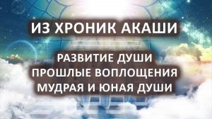 Из Хроник Акаши. Развитие души. Прошлые воплощения. Мудрая и юная души.