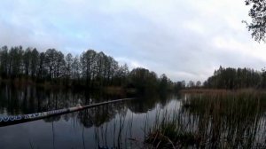 Ловля Линя на поплавок. Рыбалка на Линя. Как поймать линя.