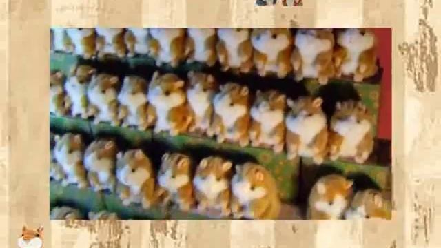 Это целый хор прикольных говорящих хомяков!
