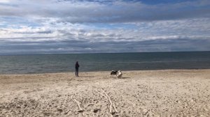 Dog Show in Palanga and our rest by the Baltic Sea