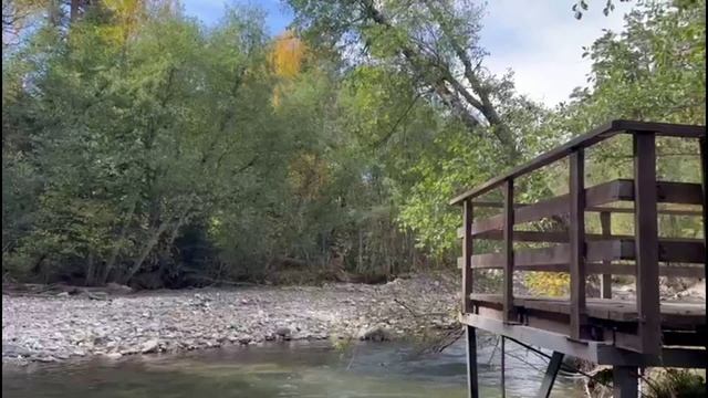 ВИДЕО ОГОРОДА,АРХЫЗ,ПОМИДОРЧИК СМЕЕТСЯ смотреть онлайн