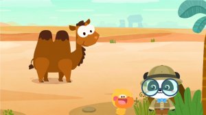Малыши Кики и Крякря узнали много нового про Верблюда