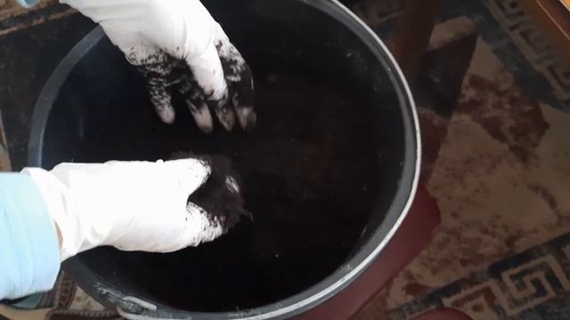Покупка и посадка роз зимой. Розы из коробок. Сажать или хранить до весны.