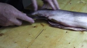 Как разделать горбушу на филе.