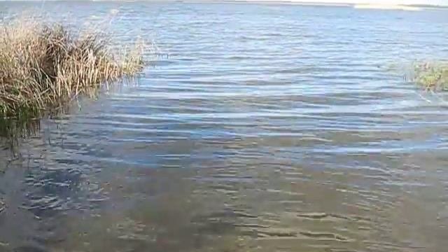 озеро Чёрное, Беларусь, Белоозёрск