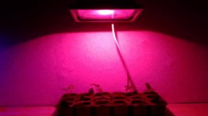 Прожектор светодиодный для растений полного спектра led grow lights