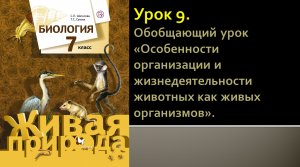 Урок 9. Обобщающий урок «Особенности организации и жизнедеятельности животных как живых организмов»