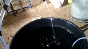 Как сохранить живца живым дома и на рыбалке