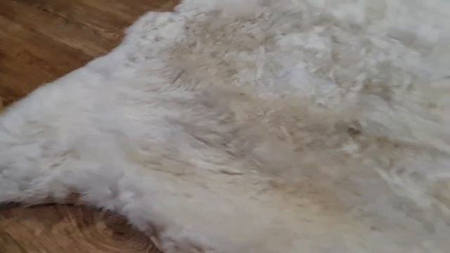 ОВЕЧЬЯ ШКУРА ЗОЛОТИСТО-БЕЖЕВАЯ (КОД: 4227) смотреть онлайн