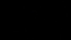 Дровница на колёсах , стеллаж для дров на дачу , удобный и практичный своими руками )