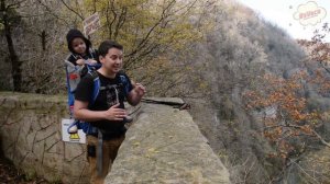 КТО СЪЕЛ ВЕСЬ САМШИТ?! Тисо самшитовая роща в Сочи