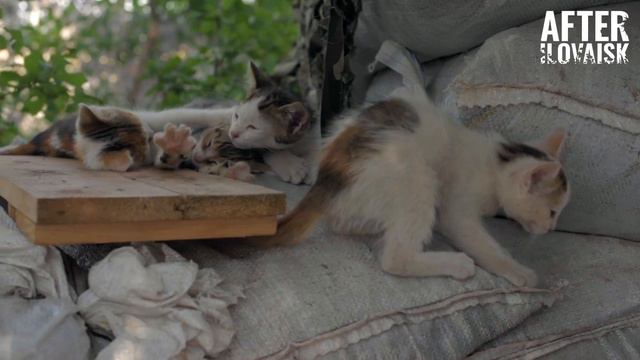 Іловайськ — 5 років потому. Тізер проекту AFTERILOVAISK смотреть онлайн