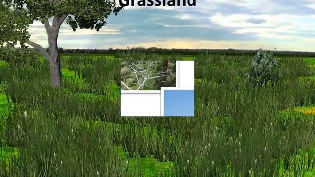 Science - How animals adapt to grasslands and polar habitat - English смотреть онлайн