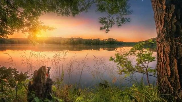 Вечернее танго смотреть онлайн