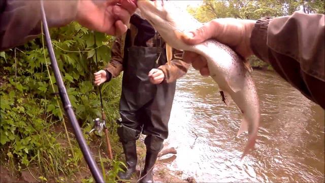 Ловилась рыбка и большая и маленькая 2020 12 июля смотреть онлайн