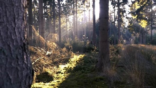 Истории из жизни Грустные истории из детства. Что такое настоящая дружба?Когда дружба заканчивается