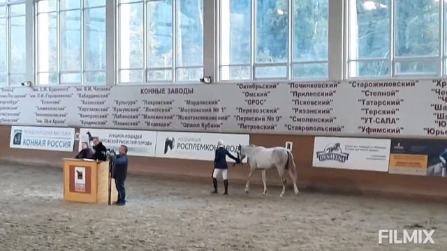 Аукцион Орловских рысаков/Московский конный завод номер 1