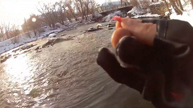 Толстый ЯЗЬ гнет спиннинг в дугу смотреть онлайн