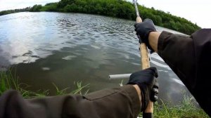 ОКУНЬ НА ФИДЕР