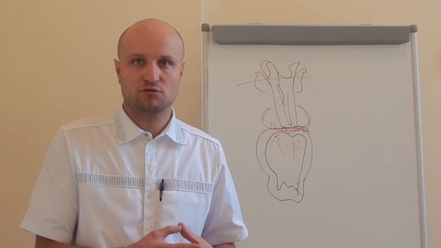 О зубах, о стоматологии (часть 1-2 молочные зубы) смотреть онлайн