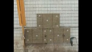 ROCKWOOL ВЕНТИ БАТТС (Д)