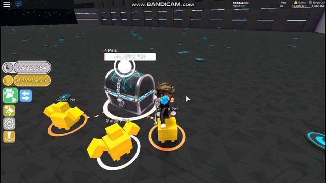 ОБНОВА В ПЕТ СИМУЛЯТОРЕ В РОБЛОКС НОВАЯ ЗОНА И НОВЫЕ ПЕТЫ И ТЕЛЕПОРТ В РОБЛОКС смотреть онлайн