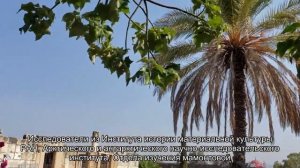 Опровергнута популярная теория о происхождении коренных американцев