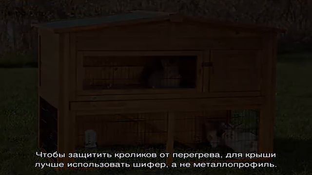 Как сделать клетку для кроликов: полезные советы