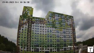 Сказочный Лес НЕДЕЛЯ 20