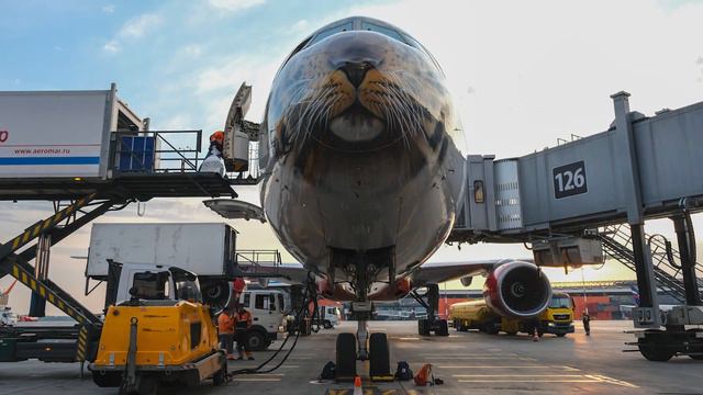 Boeing 777 Леолет  в Шереметьево