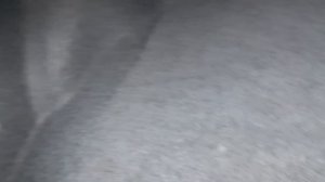 Выбираем б\у авто Honda Accord 9 (бюджет 1.000-1.100тр)