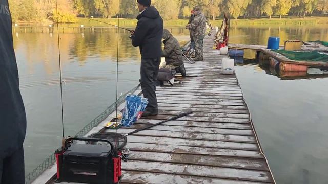 КРХ Белая Дача ежедневный запуск форели 55 кг.! смотреть онлайн