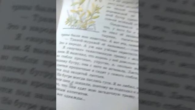 Зелёные страницы
