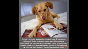 Интересные факты Часть 1