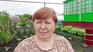 Моя жизнь в деревне.Хроника дня.