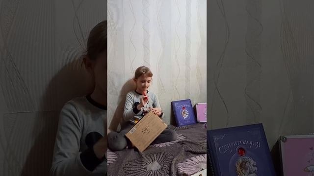 милота бокс с собаками. Распаковка.