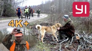 Загонная ОХОТА. 9 декабря 2018г.