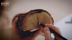 Процесс создания дров для электрических очагов British Fires