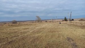 Финал боронования сенокосов.