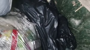 Ночной сталк по мусорным бакам Краснодарского края) находки в мусоре