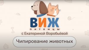 ВИЖ Питомцы. Чипирование