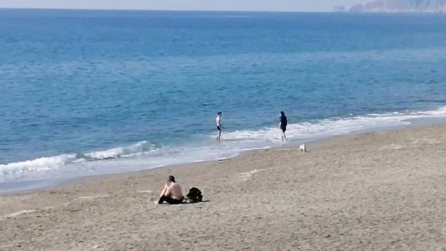 МОРЕ МАХМУТЛАРА. ТУРЦИЯ 2023.