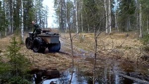 Трехколесные каракаты в лесу