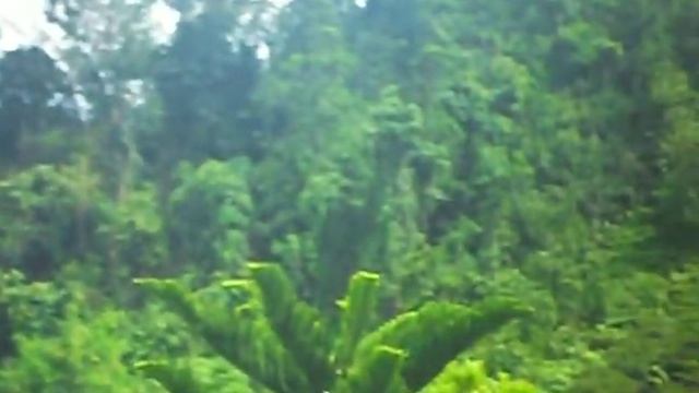 Samsung ES 65 test video... смотреть онлайн