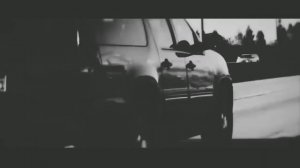 Лев- я царь зверей