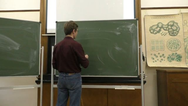 Малый практикум 6 занятие, часть 2: Цианобактерии