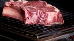 JOSPER - новый Образ, тот же Дух. Это страсть к грилю.