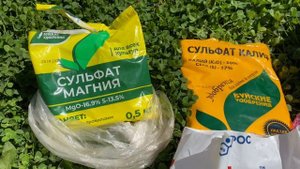 ЦВЕТЕНИЕ РОЗ и ЛИЛИЙ 2021, 22 ИЮЛЯ ??. КАЛИЙМАГНЕЗИЯ НЕ ПОКУПАЮ??. ШОК и ТРЕПЕТ?❤️?