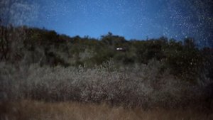 как летит снаряд из танка в замедленной съёмке 10.000 кадров секунду / projectile flight slow motio